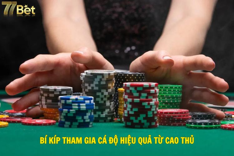 Bí kíp tham gia cá độ hiệu quả từ cao thủ