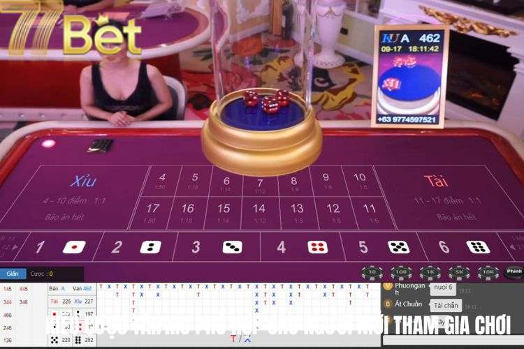 Kiểu cược Tài/Xỉu phù hợp cho người mới tham gia chơi